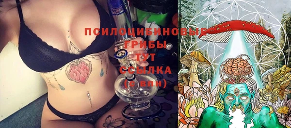 спиды Осташков