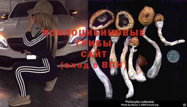 МДМА Осинники